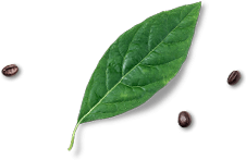 Csiang Baking Ingredient JB